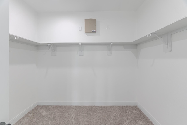 walk in closet featuring light colored carpet