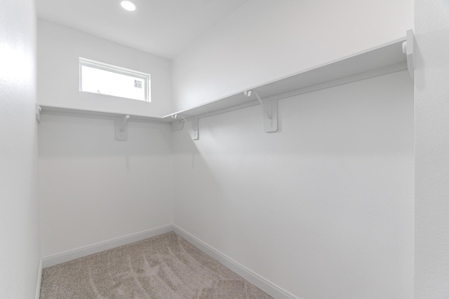 spacious closet featuring light carpet