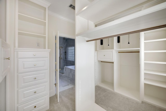 spacious closet featuring light colored carpet and visible vents