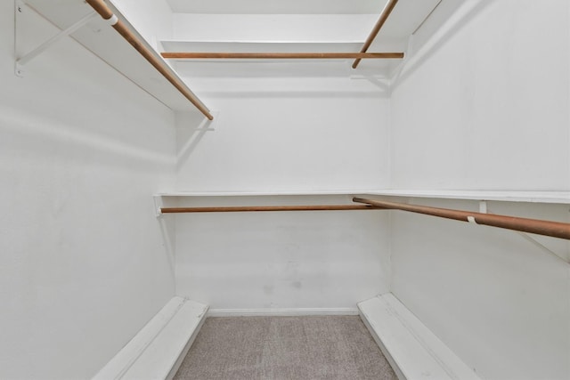 spacious closet with carpet floors and built in desk