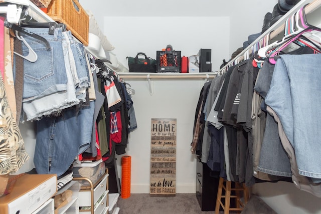 walk in closet featuring carpet floors