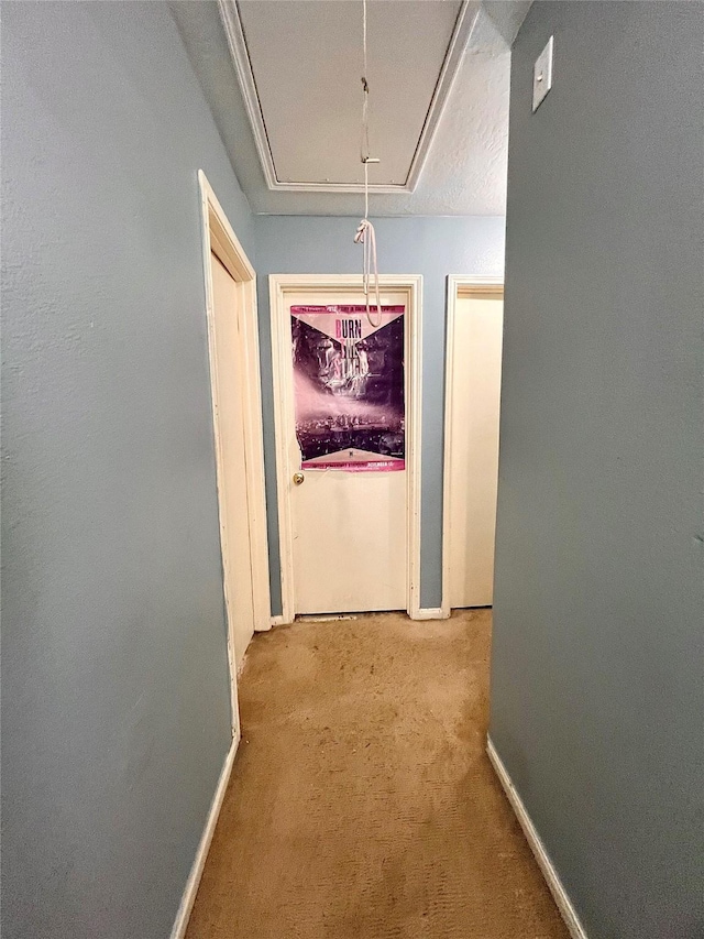 corridor featuring carpet, attic access, and baseboards