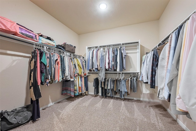 spacious closet with carpet