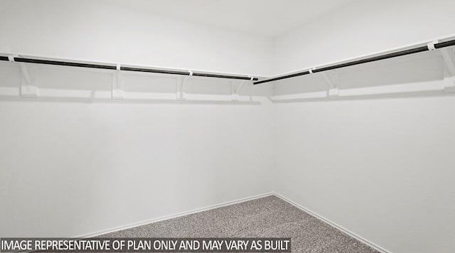 spacious closet with carpet flooring