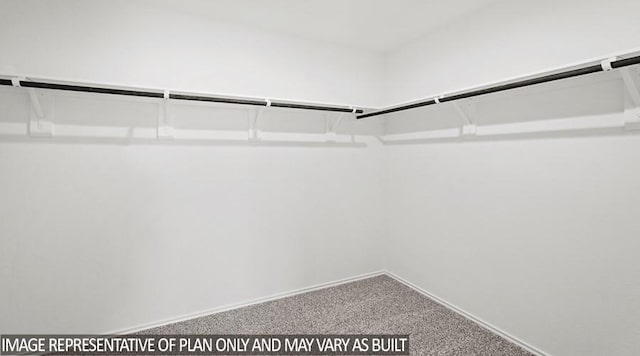 14615 Lost Cave Way, New Caney, TX 77357 - spacious closet with carpet