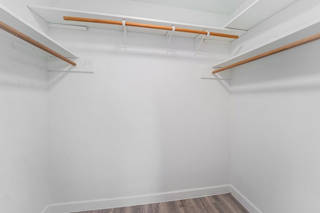 walk in closet featuring dark wood-style flooring