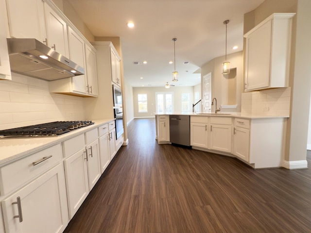 kitchen featuring under cabinet range hood, appliances with stainless steel finishes, dark wood-style floors, white cabinets, and a sink