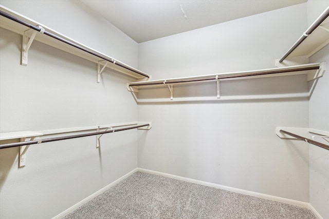 spacious closet with carpet floors