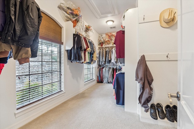 walk in closet with carpet flooring