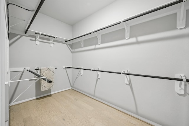 18823 Cypress Meadow Ct, Magnolia, TX 77355 - spacious closet with light wood-style floors