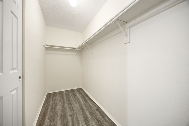 walk in closet featuring attic access and dark wood finished floors