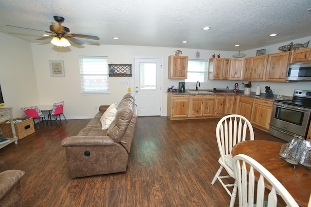 kitchen with dark wood-style floors, appliances with stainless steel finishes, open floor plan, a sink, and a textured ceiling