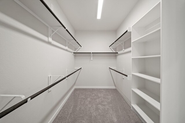 289 Galant Fox Way, New Caney, TX 77357 - walk in closet with carpet floors