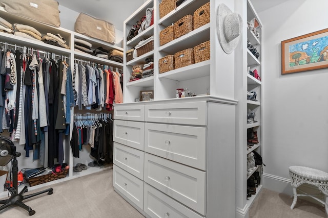 spacious closet with carpet flooring