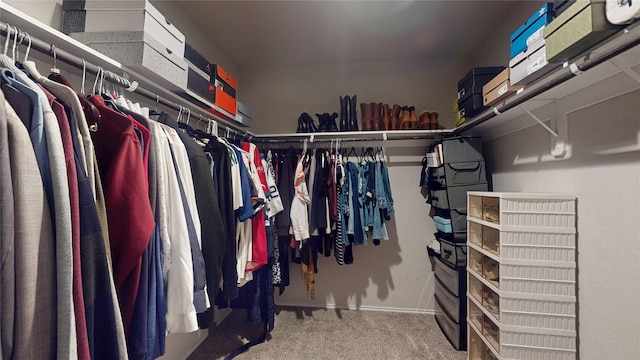 walk in closet featuring carpet floors