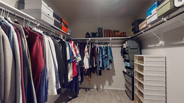 spacious closet with carpet