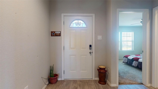 entrance foyer featuring baseboards, wood finished floors, and a healthy amount of sunlight