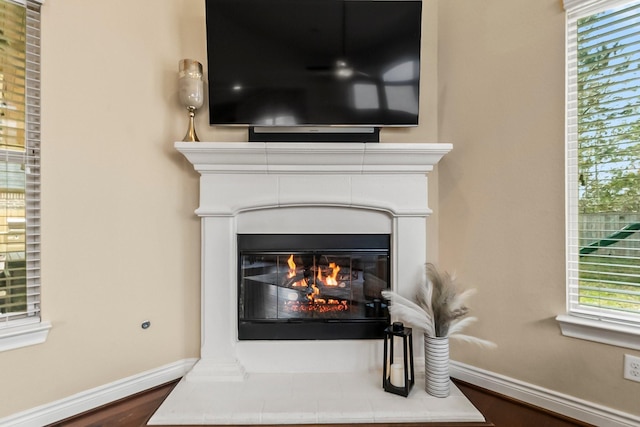 details with a glass covered fireplace, baseboards, and wood finished floors