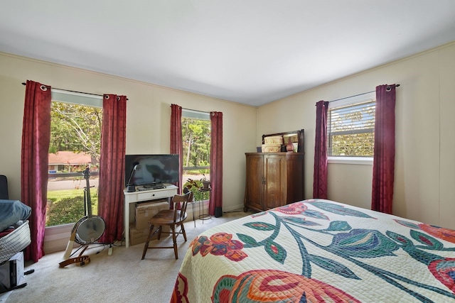 bedroom featuring light carpet