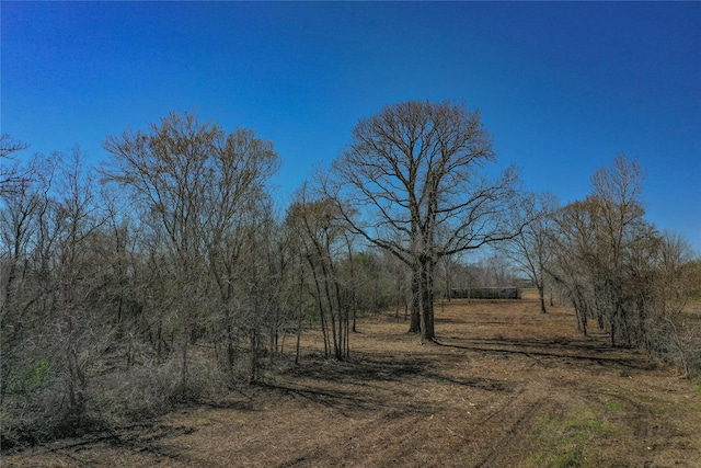 Listing photo 3 for 000 E Bu 59 R Hwy, Hungerford TX 77448