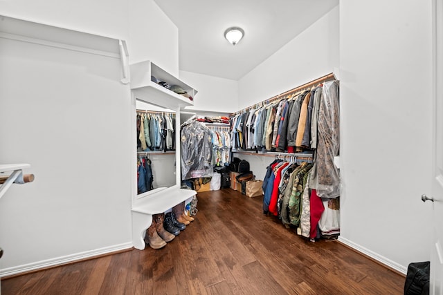 spacious closet with wood finished floors