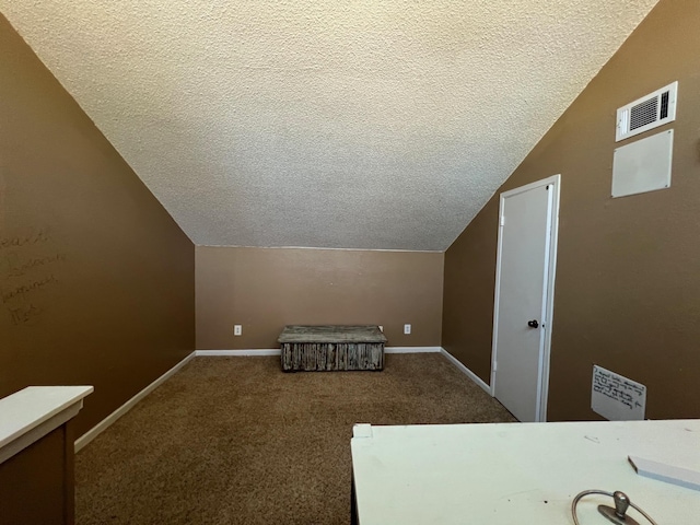 additional living space featuring carpet floors, visible vents, and a textured ceiling