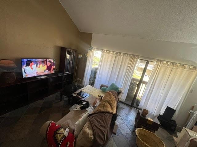 home theater room featuring vaulted ceiling and a textured ceiling