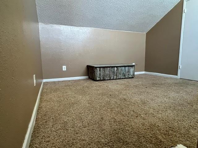 bonus room with carpet, lofted ceiling, a textured wall, a textured ceiling, and baseboards