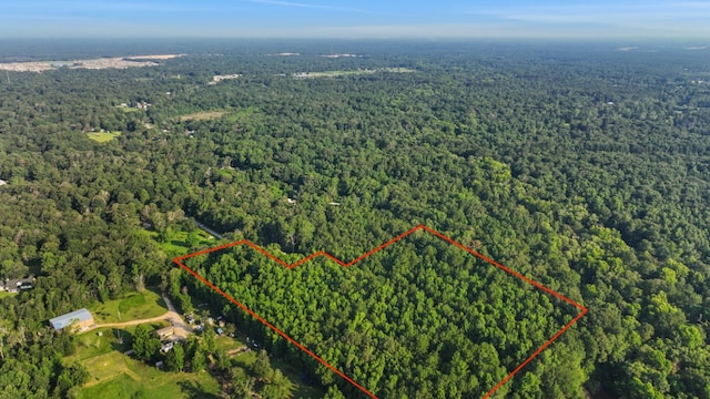 aerial view with a forest view