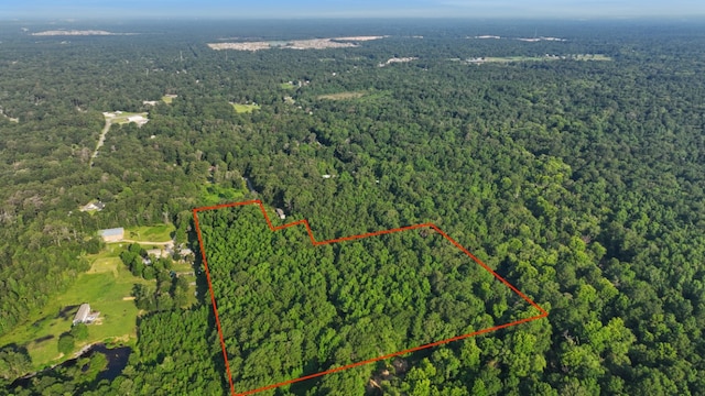 bird's eye view with a wooded view