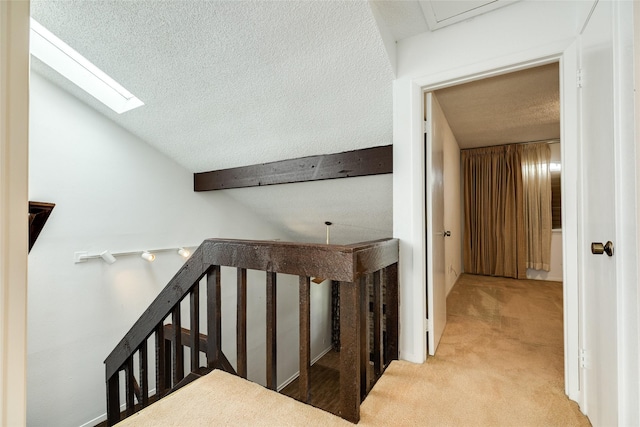 stairway featuring a textured ceiling, vaulted ceiling with skylight, and carpet