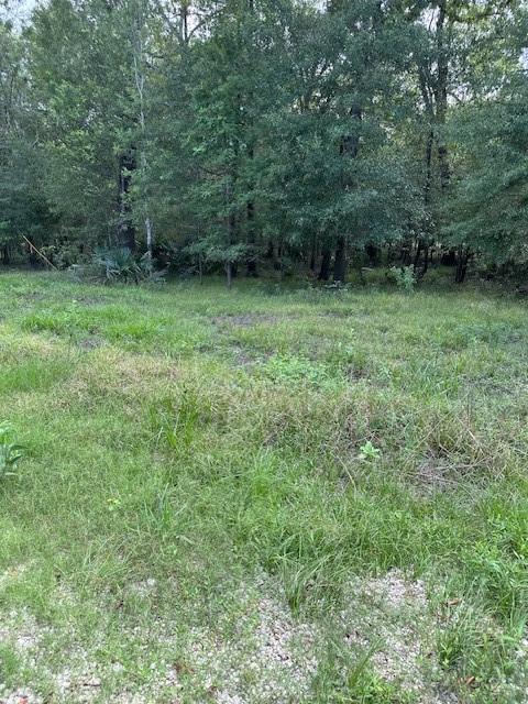 Listing photo 3 for TBD Walker Dr, Cleveland TX 77327