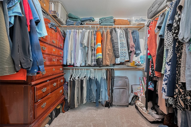 1234 Bergman Ct, Conroe, TX 77384 - walk in closet featuring carpet floors