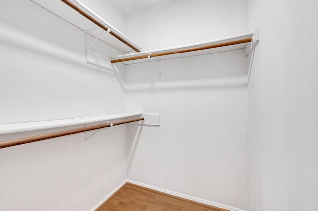 spacious closet featuring light wood-type flooring