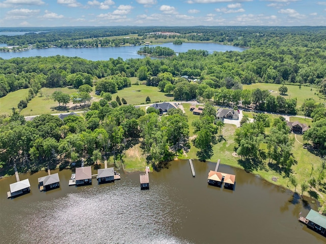 bird's eye view featuring a water view and a forest view