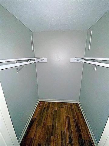 walk in closet featuring wood finished floors