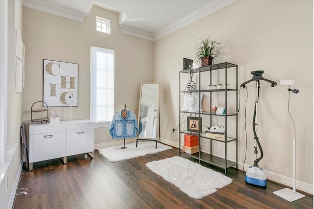 misc room with ornamental molding, baseboards, and wood finished floors