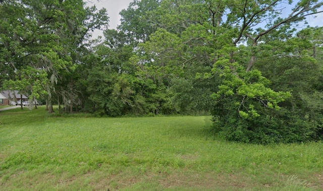 125 Hidden Horse Trl, Angleton TX, 77515 land for sale