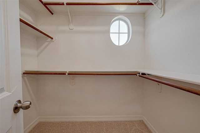 walk in closet featuring carpet