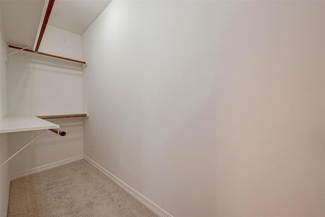 walk in closet with carpet