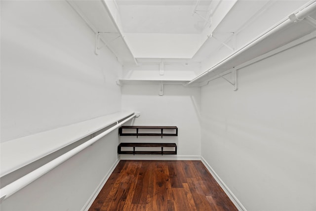 walk in closet with wood finished floors