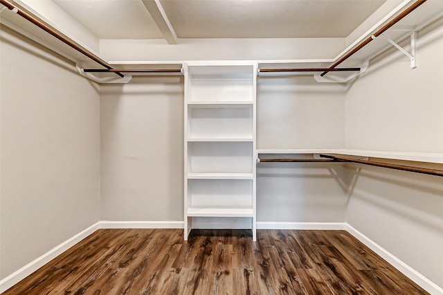 walk in closet featuring dark wood-type flooring