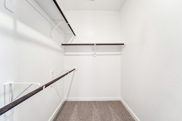 2542 Bay Winds Ln, Baytown, TX 77523 - walk in closet with carpet