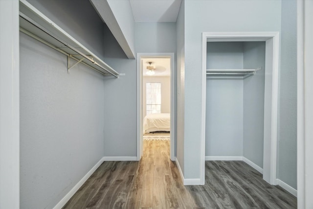 spacious closet featuring wood finished floors