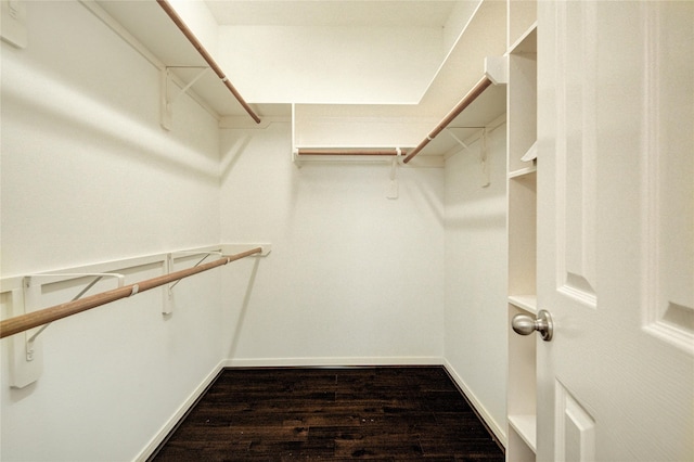 walk in closet featuring dark wood-style flooring