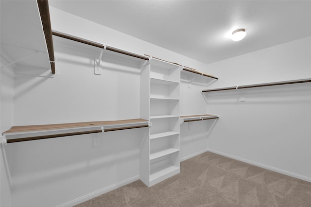 spacious closet with light carpet