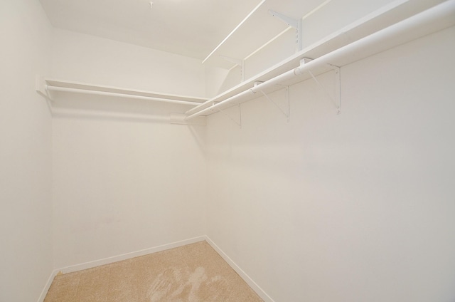 walk in closet with light carpet