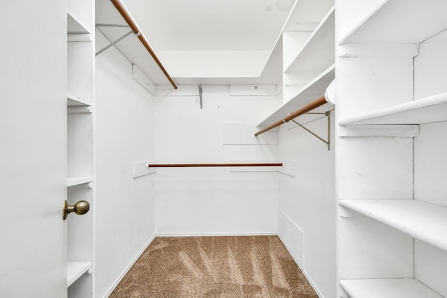 walk in closet featuring carpet floors