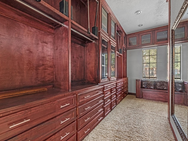 spacious closet featuring carpet floors