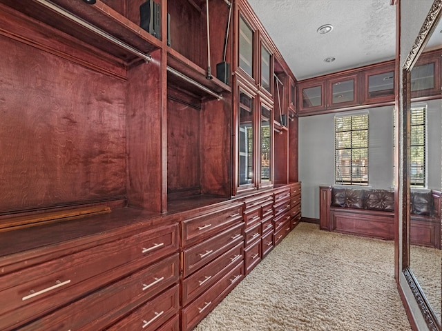 7714 Hertfordshire Dr, Spring, TX 77379 - walk in closet with carpet floors